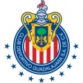 Guadalajara Sub 15