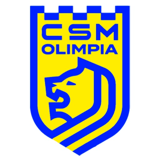 CSM Satu Mare