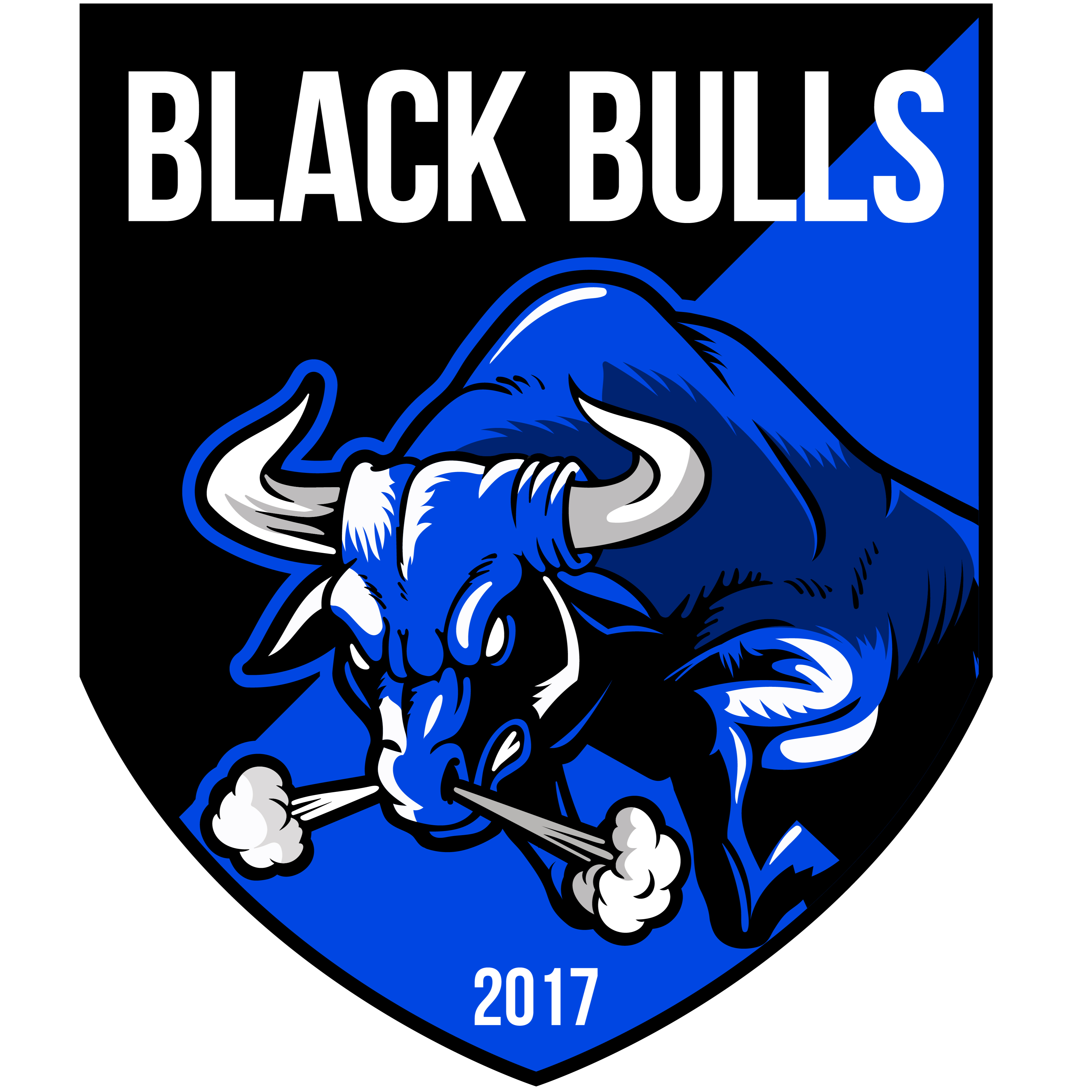 Black Bulls Maputo