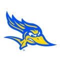 Cal State Bakersfield