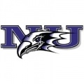 Niagara Purple