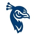 Saint Peter's Peacocks