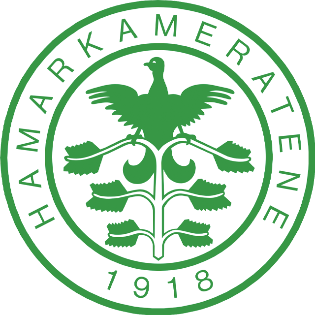 HamKam U19