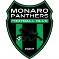 Monaro Panthers