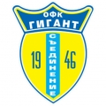 Gigant Saedinenie
