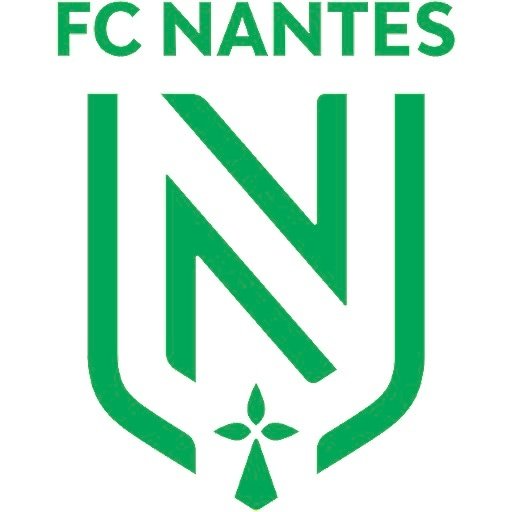 Escudo/Bandera Nantes