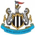 Escudo/Bandera Newcastle