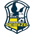 Springfield Demize