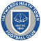 Haywards Heath Town