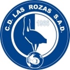 Las Rozas CF C