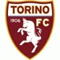 Escudo/Bandera Torino