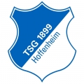 Hoffenheim Toutes Les Informations Et Resultats [ 300 x 300 Pixel ]