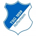 Escudo del Hoffenheim