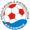 Povltavska FA