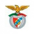 Escudo Lamego