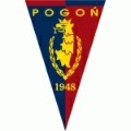 Escudo del Pogon Szczecin