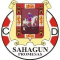CD Sahagún Promesas