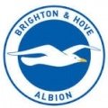 Escudo/Bandera Brighton & Hove Albion