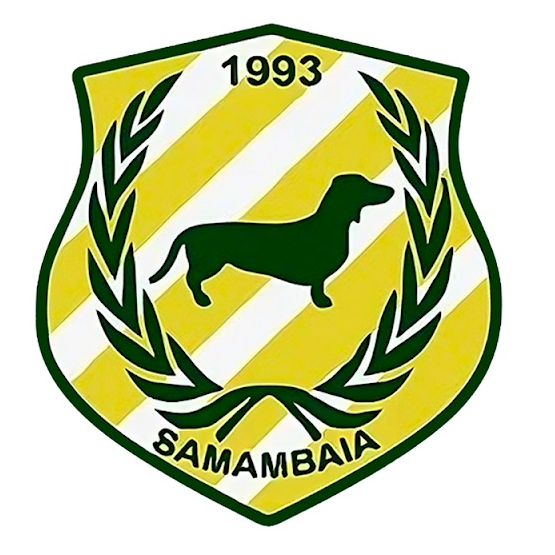 Samambaia