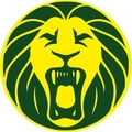 scudo