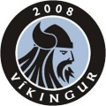 Escudo Vikingur III