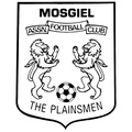 Escudo Mosgiel