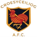 Croesyceiliog