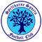 Spelthorne Sports