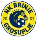 Escudo del Brinje-Grosuplje