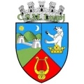 CSM Lugoj