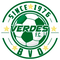 Hankook Verdes