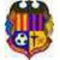 Escudo Apolo