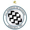 Mineros Guayana Sub 20