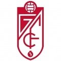 Escudo/Bandera Granada CF Fem