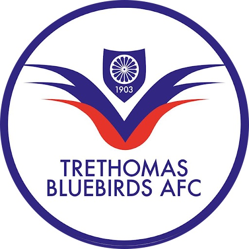 Trethomas Bluebirds
