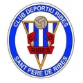 Ribes CD A A