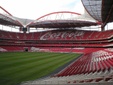 Estadio Estádio da Luz