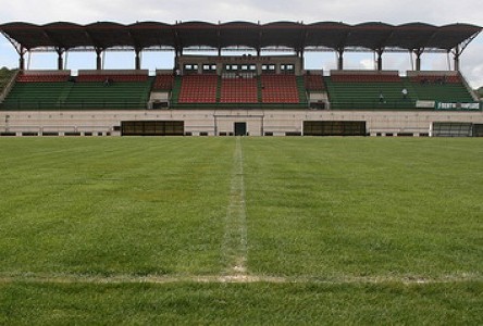 Estadio 