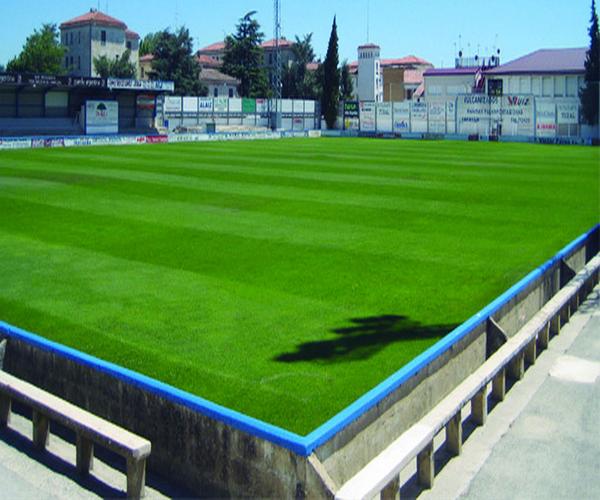 Campo De Futbol San Francisco
