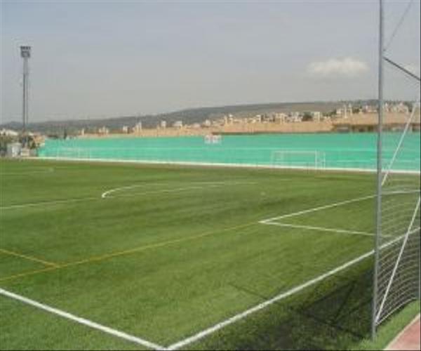 Municipal Las Viñas