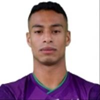 M. Dominguez-Ramirez