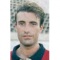 Mestre