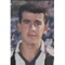 Requena