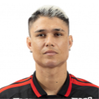 De Araujo Guimarães Neto