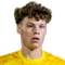 Van Der Velde