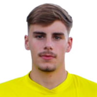 Leão Pipa Videira Lopes