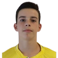 Carneiro Neto Alves Coelho