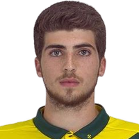 Pinto Nogueira Souza