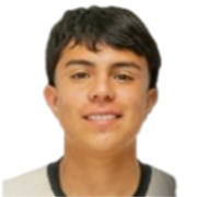 Ibarra Roque