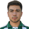 E. Doğan